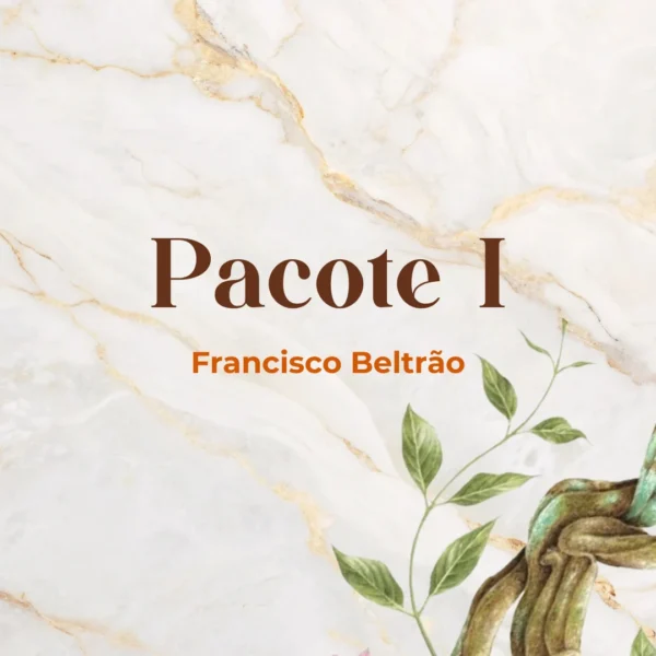 Pacote I - Francisco Beltrão/PR