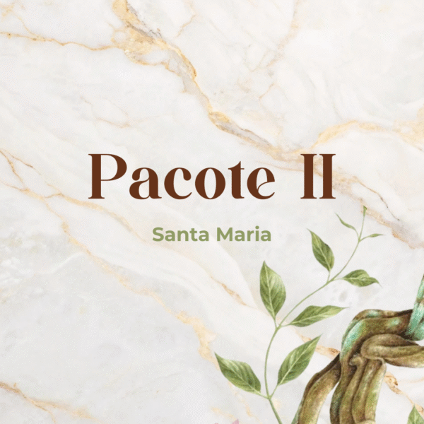 Pacote II - Santa Maria/RS
