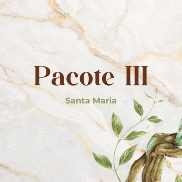 Pacote III - Santa Maria/RS