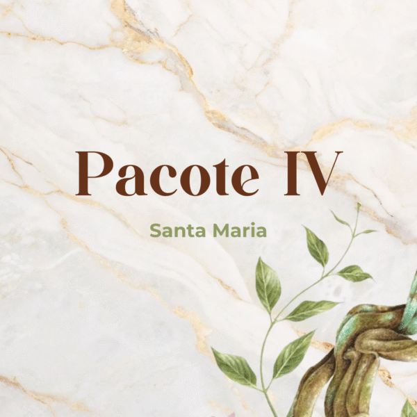 Pacote IV - Santa Maria/RS