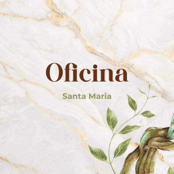 Oficina - Santa Maria/RS