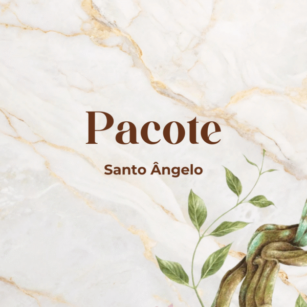 Pacote - Santo Ângelo/RS